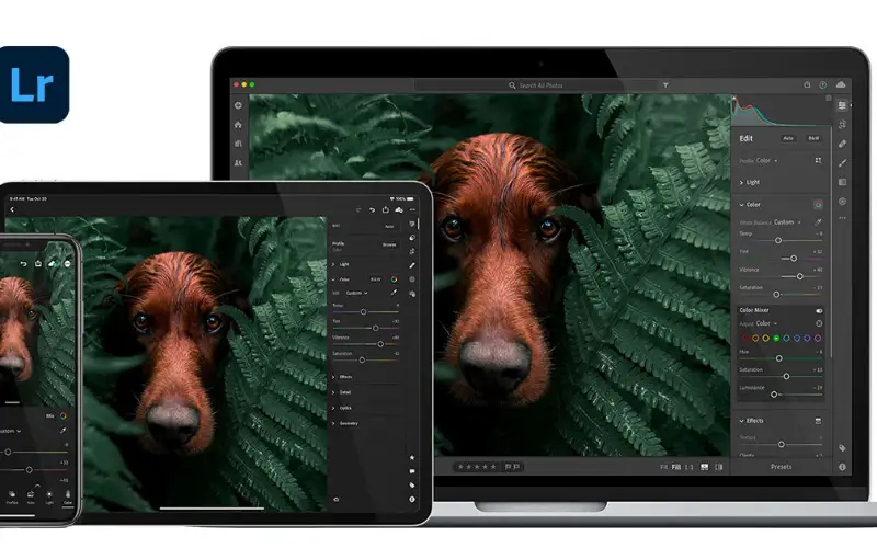 Share picture from lightroom.adobe.com