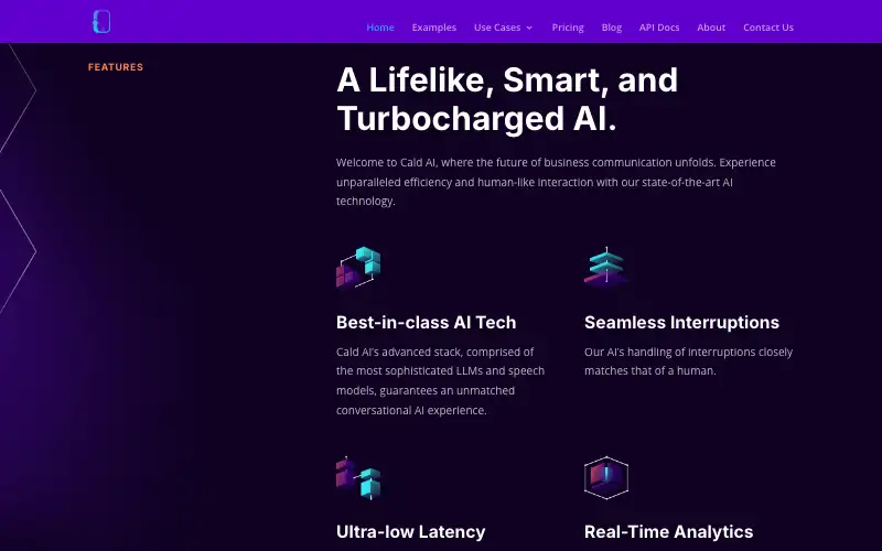Screenshot of cald.ai, further down the homepage