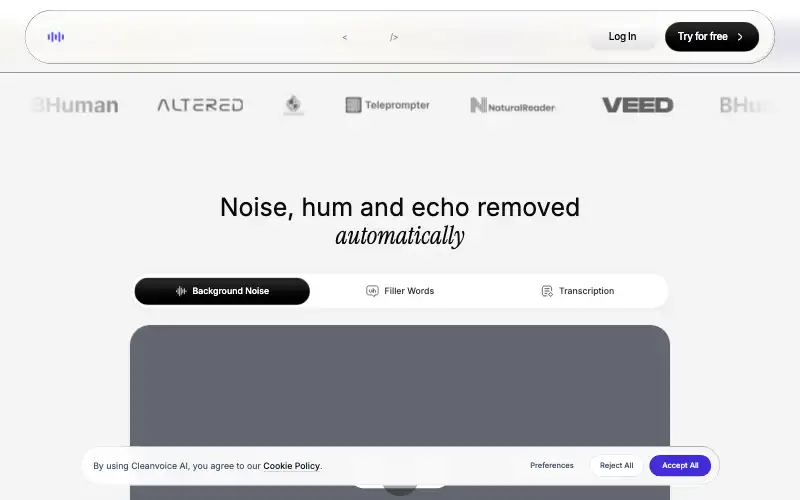 Screenshot of cleanvoice.ai, further down the homepage