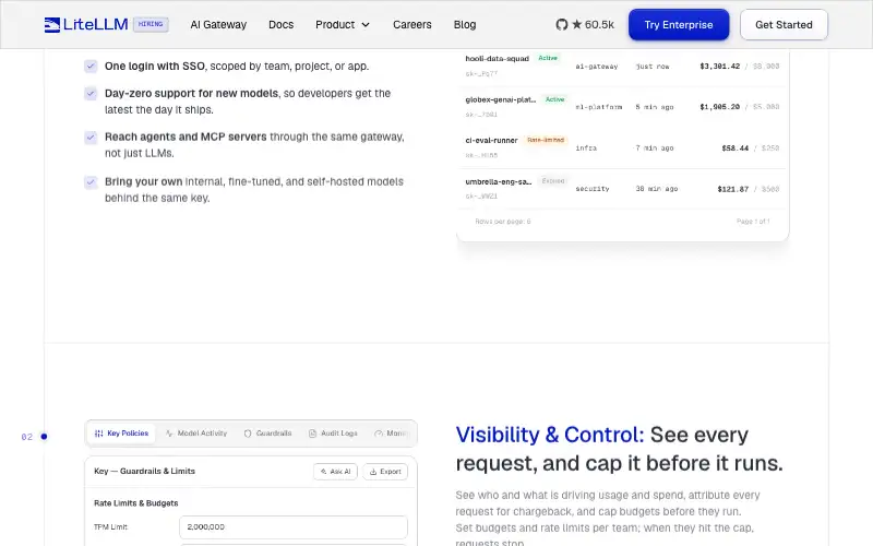 Screenshot of litellm.ai, further down the homepage