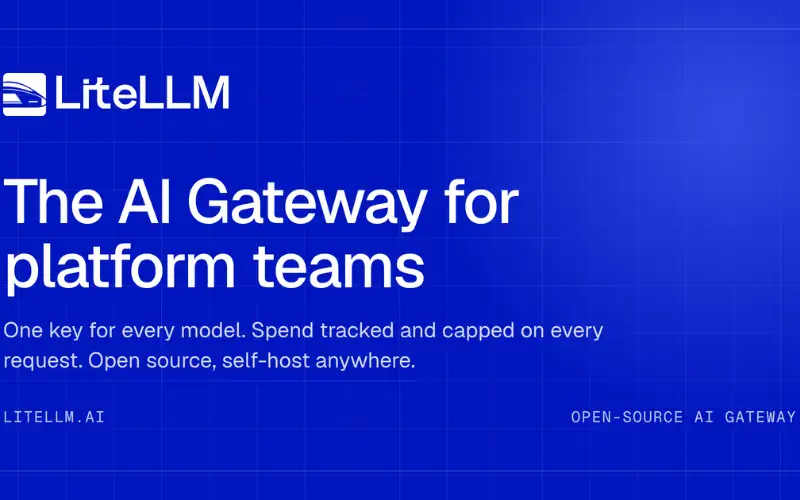 Share picture from litellm.ai